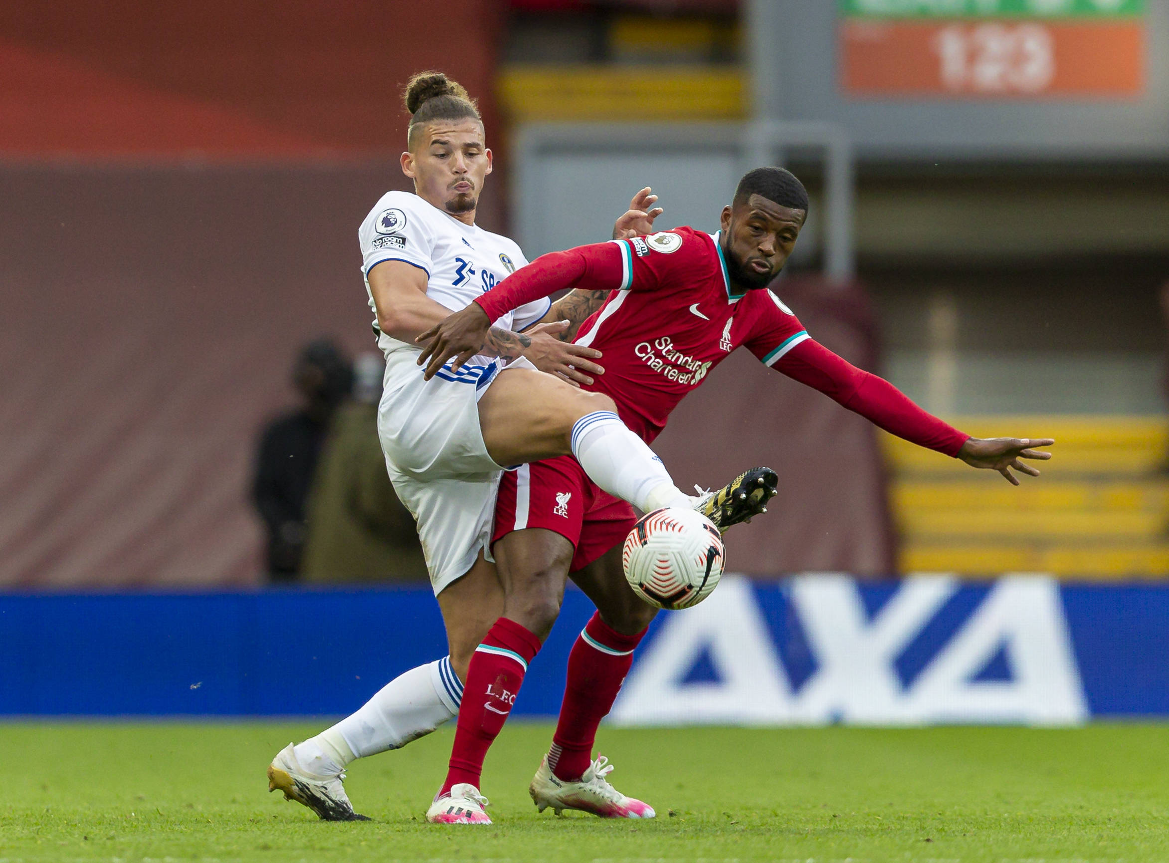 贝尔纳多 贝尔纳多